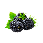 Blackberry