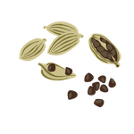 Cardamom