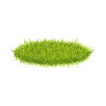 Cut Grass