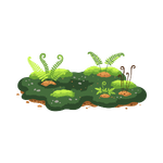 Forest Floor