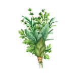 Fresh Herbs