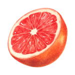 Grapefruit