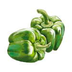 Green Pepper