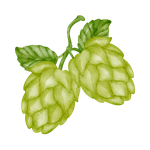 Hops