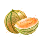 Melon