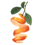 Orange Peel