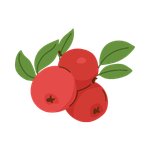 Red Berries