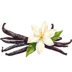 Vanilla