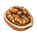 Walnut