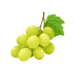White Grapes